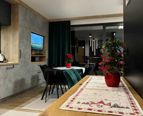 Apartament typu Studio - Narciarska 6a