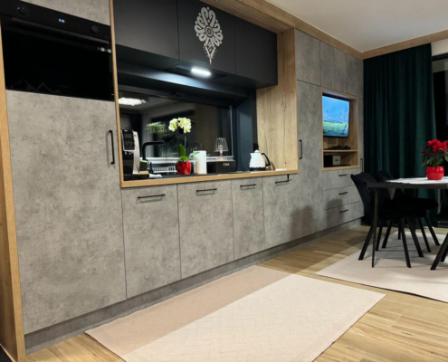 Apartament typu Studio - Narciarska 6a