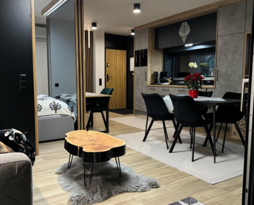Apartament typu Studio - Narciarska 6a